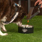 Insulated Dog Bowl